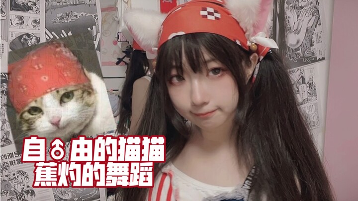 【女哲学家】那只蕉灼的猫猫回来了！