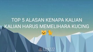 top 5 kenapa kalian harus memelihara kucing🗿