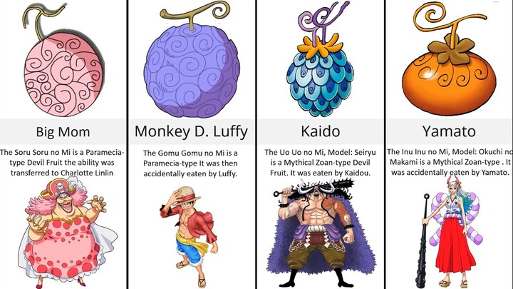 One Piece Wano Characters Devil Fruits (Wano Arc)