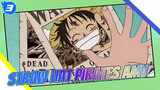 When Wanted Posters Of Straw Hat Pirates Are All Over The World_3