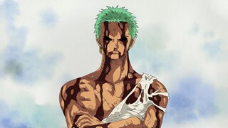 Zoro Top 5 Badass Moment