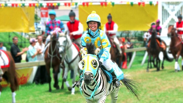 Man Entered Zebra Into Horse Competition And Wins The Race