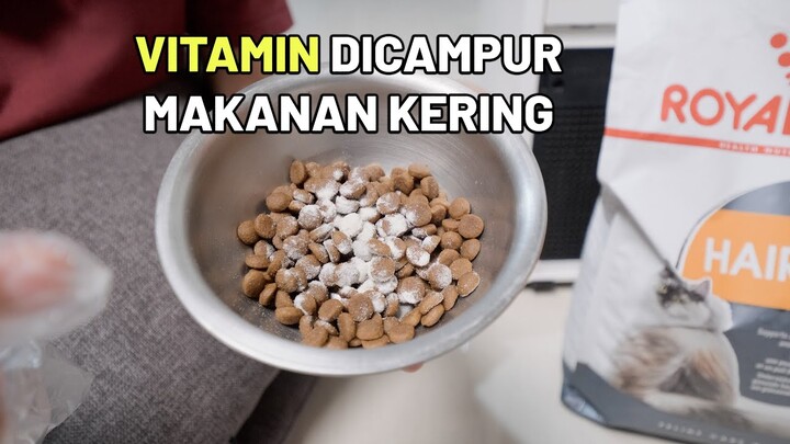 Vitamin Kucing Dicampur Dry Food