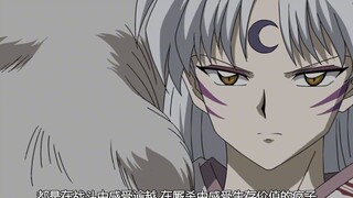 InuYasha: Bản sao của Platycodon thực chất được tạo ra từ một giọt máu!