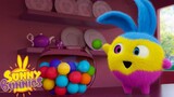 SUNNY BUNNIES - Multicolor Bunnies  | Season 5 | Cartoons for Children