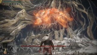 Malenia, Blade of Miquella Boss Fight (gần như) không có thiệt hại - Elden Ring