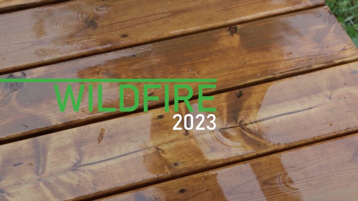 Wildfire Day 2