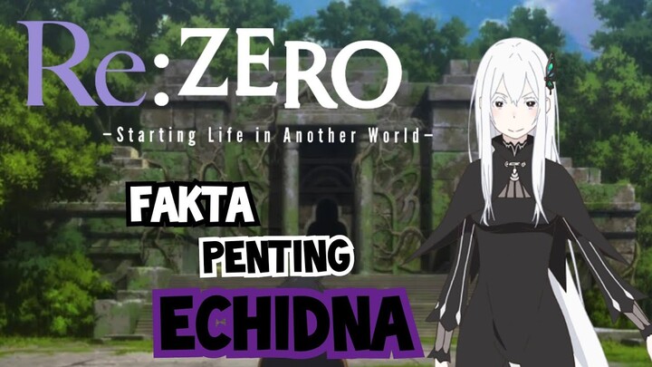 Best WAIFU!!! 5 Fakta PENTING Echidna Si Penyihir Keserakahan