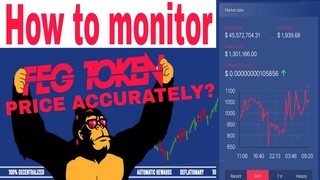 How to monitor FEGtoken price accurately?