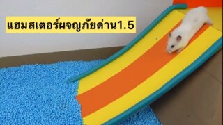 แฮมสเตอร์ผจญภัยด่าน1.5