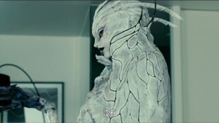 "Sự thanh lịch chỉ là vẻ bề ngoài, tình cảm mới là bản chất"