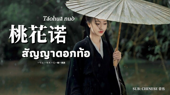 [THAISUB] 桃花诺 - สัญญาดอกท้อ |เพลงจีนแปลไทย