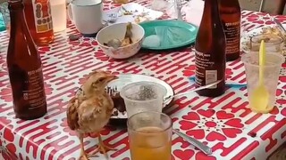 Druken Chicken 🍻🐓