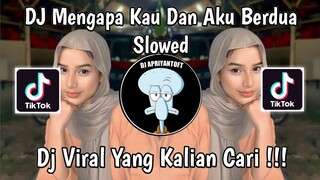 DJ MENGAPA KAU DAN AKU BERSUA | DJ LUKA SEKERAT RASA VIRAL TIK TOK TERBARU 2024 YANG KALIAN CARI !