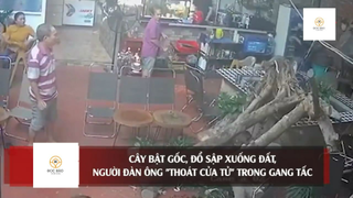 Người đàn ông 'THOÁT CHẾT' trong gang tấc khi đang ngồi uống cafe thì cây 'BẬT GỐC ' #doisongquanhta