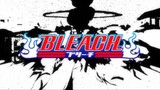 Bleach (Eng Dub) Episode 286