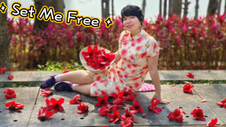 Set Me Free phiên bản kapok đỏ Mùa xuân chỉ là ngắm hoa, hoa, hoa