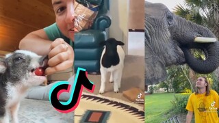 Cute and funny TikToks of animals - Animal side of TikTok Compilation #3