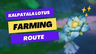 Kalpatala Lotus Farming Route