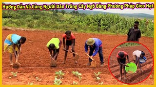 Bản Lomada Tập 4 || Cùng Người Dân Trồng Ngô Bằng Phương Pháp Gieo Hạt Năng Suất Cao