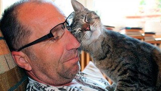 Cats Love Their Owner On A Different Level But It's Real Love