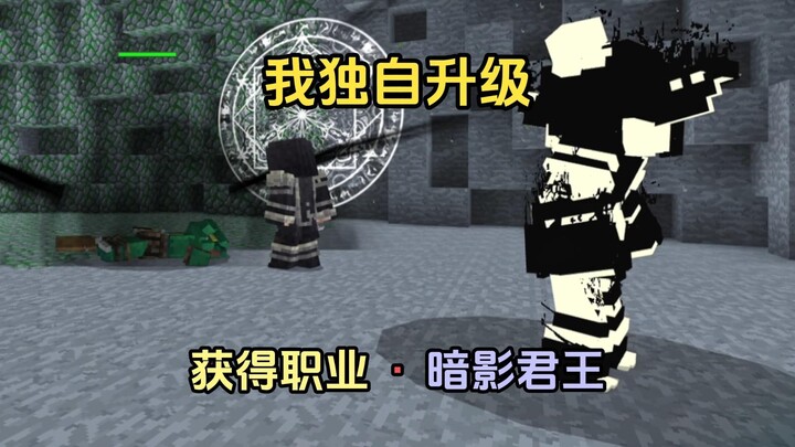【我独自升级】生存丨获得暗影君王职业·让影子成为小弟