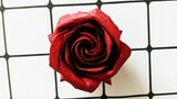 Thủ công|Hoa hồng năm cánh
