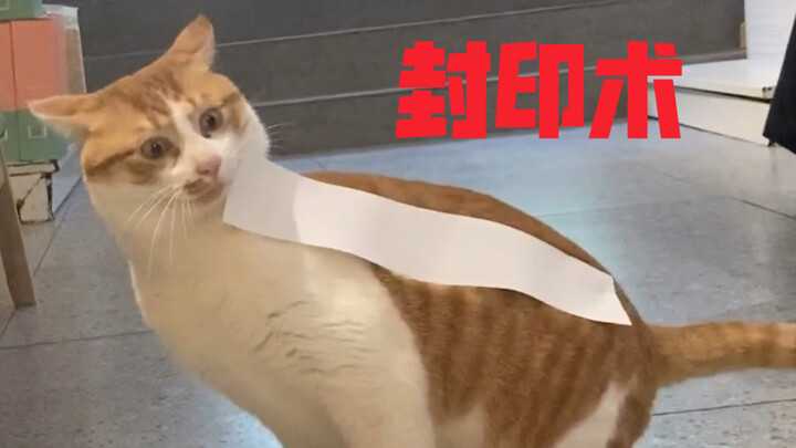 猫咪の封印术