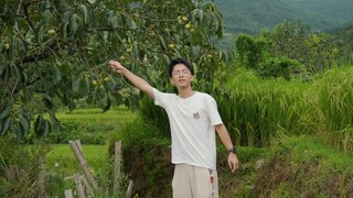 Di mana Big Fish dan Begonia difilmkan? Saya tinggal di desa Tulou di pegunungan Fujian. Itu adalah 