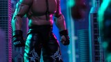 WWE - Roman Reigns Vs Brock Lesnar Stop Motion