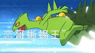 The top ten strongest Pokémon of Xiaozhi (do you think this is reasonable?)