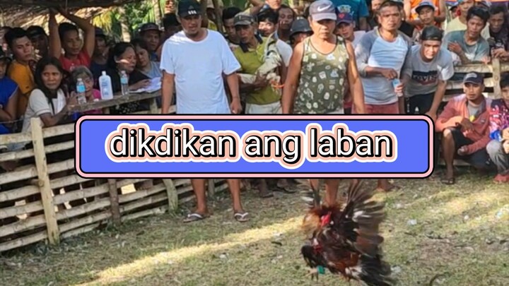 lupet ng manok muntik pang makatama ng tao subrang bilis mag laro