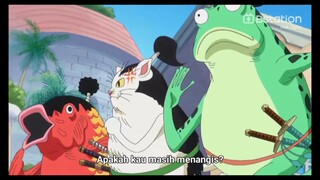 mood banget zoro ngegeplak kepala luffy 😂😂