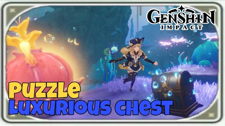 cara membuka luxurious chest di fontaine | [ Genshin Impact ]