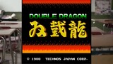 Double Dragon มังกรคู่ลุยสิบทิศ