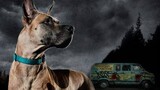 SCOOBY-DOO (2022) Teaser Trailer Concept - LET'S IMAGINE