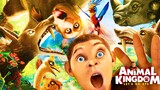 Animal Kingdom: Let's Go Ape