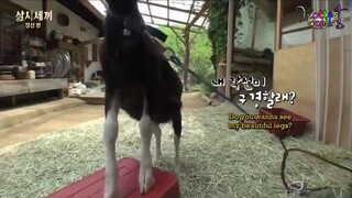 Three Meals A Day 2 Episode 6 - Engsub