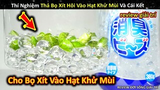 Thí Nghiệm Cho Bọ Xít Hôi Vào Hạt Khử Mùi Và Cái Kết Không Ngờ || Review Giải Trí Đời Sống