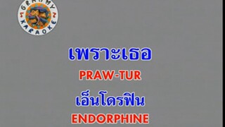 เพราะเธอ (Praw Tur) - เอ็นโดรฟิน (Endorphine)