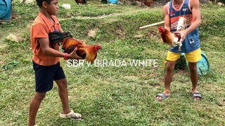 SBR v Birada White