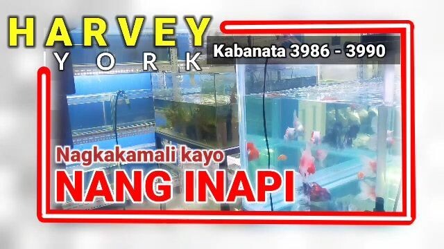 Nagkakamali kayo ng INAPI ( 3986 - 3990 )