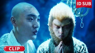 Sang Monyet telah kembali丨Kera Sakti (Qi Tian Da Sheng)丨Fantasi / Kostum  / Fantasi #clip