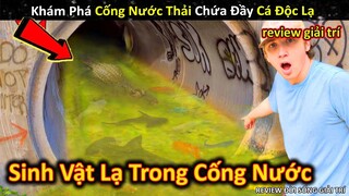 Phát Hiện Cá Kịch Độc Không Ngờ Trong Cống Nước Thải Gần Nhà || Review Giải Trí Đời Sống