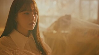 YERIN Bambambam MV