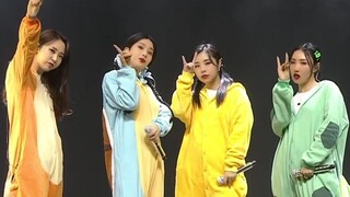 [MAMAMOO] OST. Pokemon | Bản Live Concert