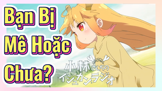 Bạn Bị Mê Hoặc Chưa?