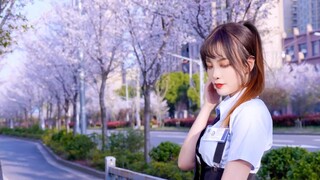 [Susu] Nếu bạn gặp tôi trên Đại lộ Sakura, bạn sẽ ____? "Bạn tuổi dậy thì đỏ mặt (=I)"