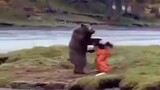 Hahaha fighting Bear only in Russia