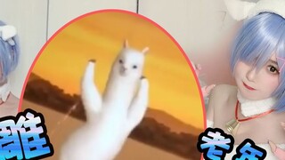 Crazy brainwashing alpaca dance~cute Rem dancing online! Once a day to prevent depression~|cos to [C